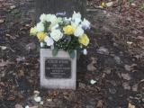 image of grave number 931250